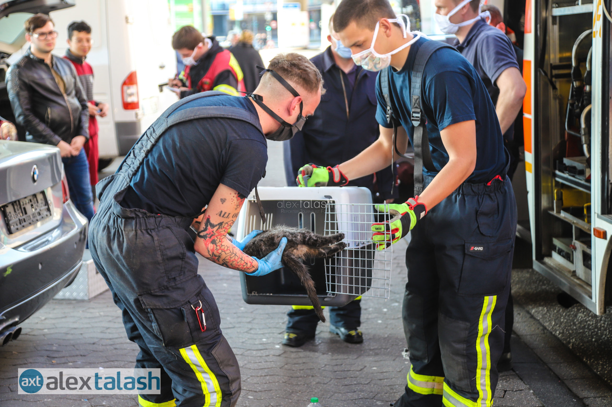 Trotz Rettungsaktion kein Happy End: Hagener Feuerwehr befreit Katze aus Motorraum