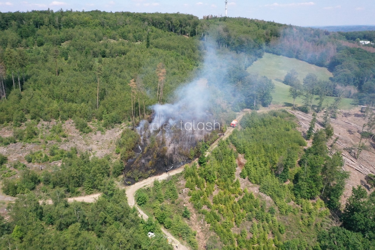 Großeinsatz bei einem Waldbrand in Hagen – 160 Einsatzkräfte im Einsatz
