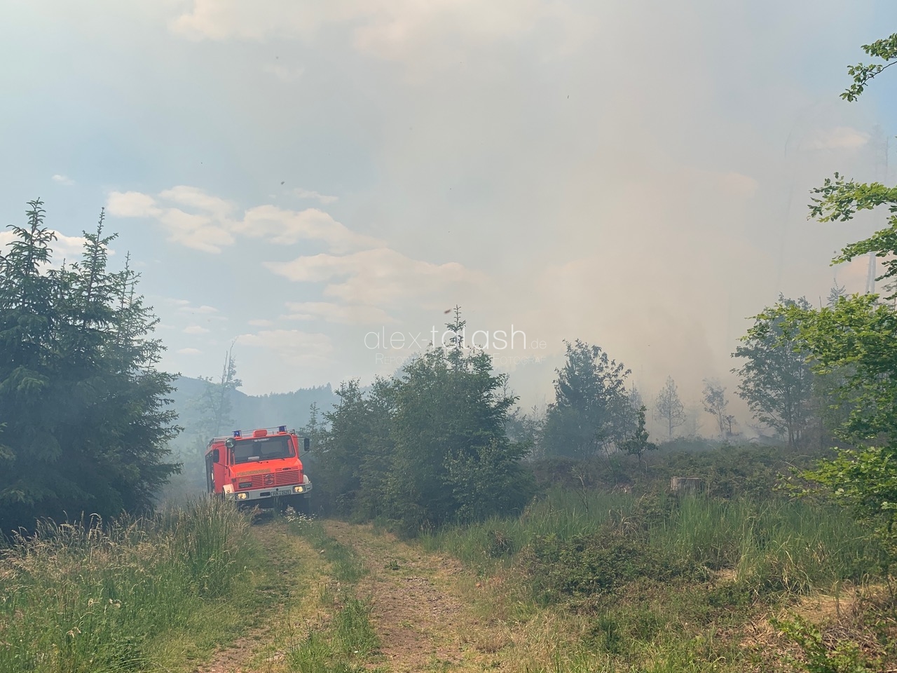 Großeinsatz bei einem Waldbrand in Hagen – 160 Einsatzkräfte im Einsatz