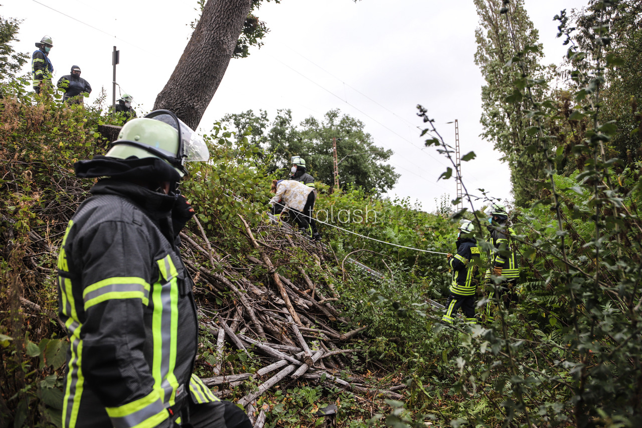 Feuerwehr evakuiert Zug: Baum stürzt auf Oberleitung