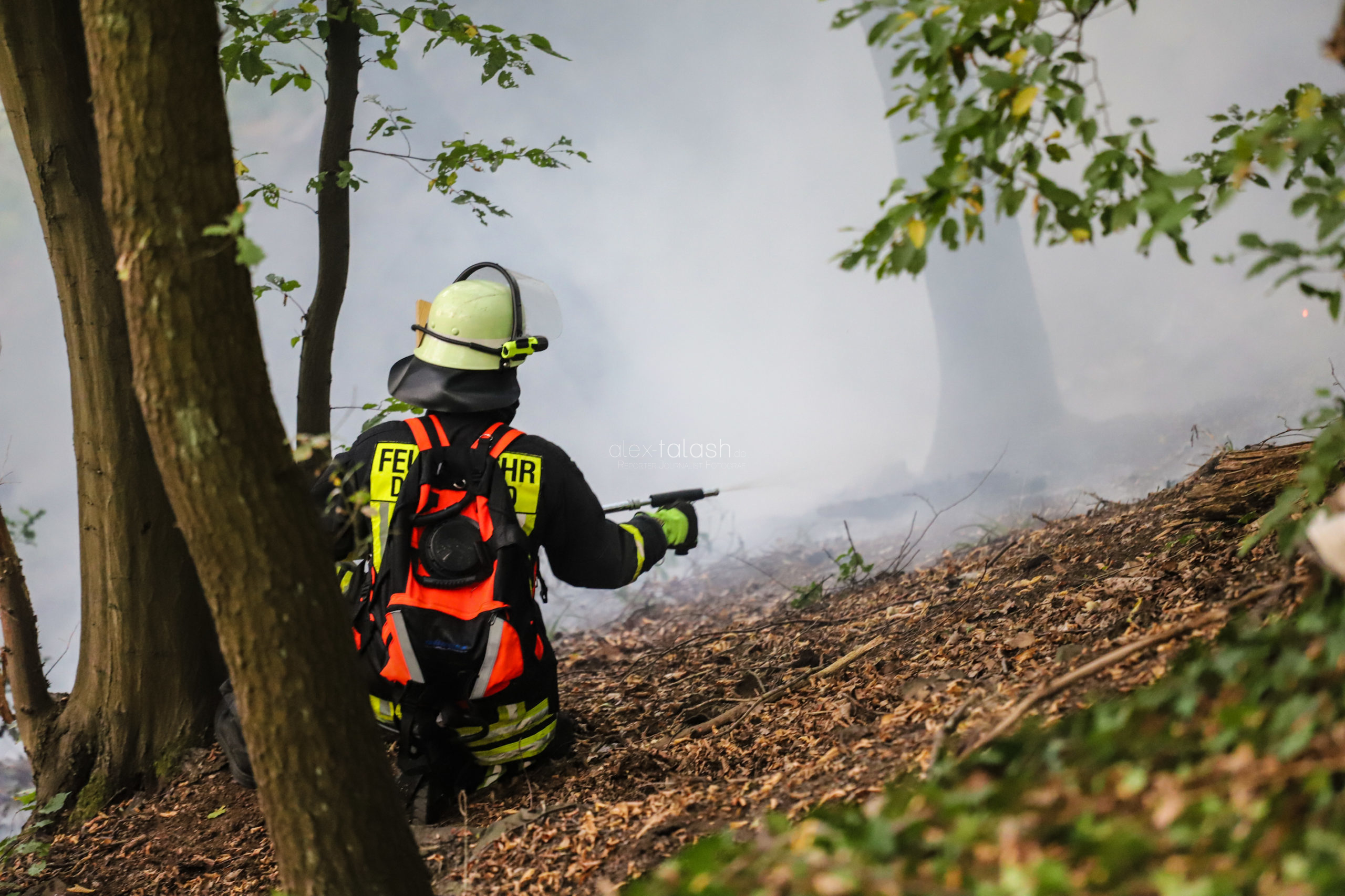 Aufwendiger Einsatz bei Waldbrand in Dortmund – Feuer im Steilhang