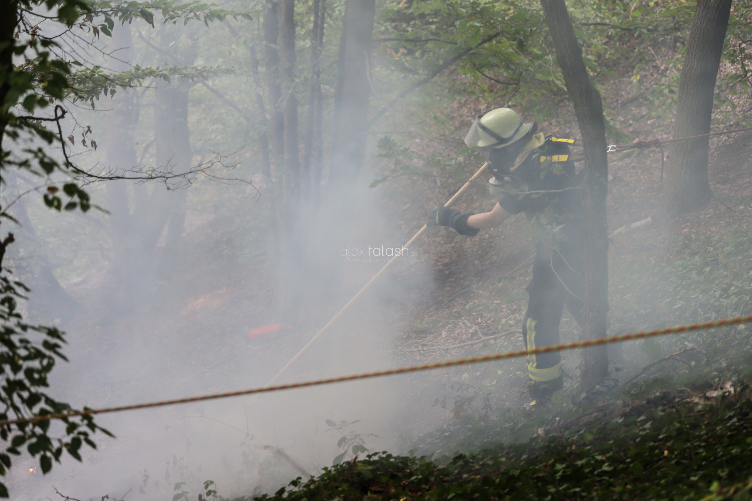 Aufwendiger Einsatz bei Waldbrand in Dortmund – Feuer im Steilhang
